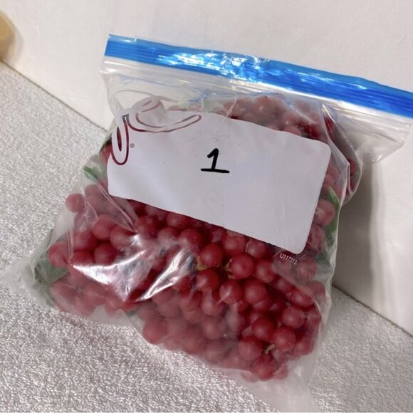 Vintage Rubber/Vinyl Decorative Red Grape Clusters x7 - Picture 9 of 10